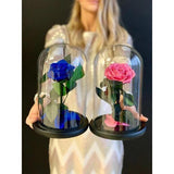 06- Beauty and the Beast Roses in Glass Dome-NE Flower Boutique