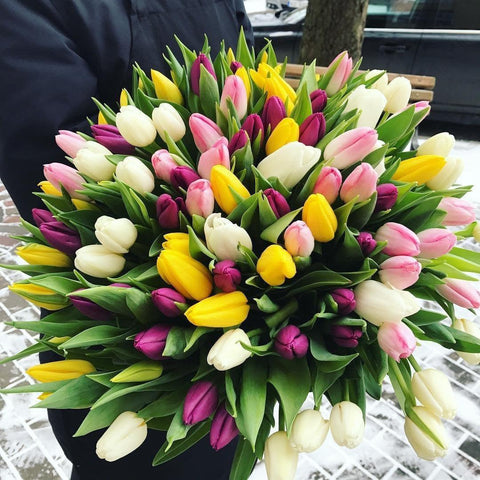 101 Tulips-NE Flower Boutique