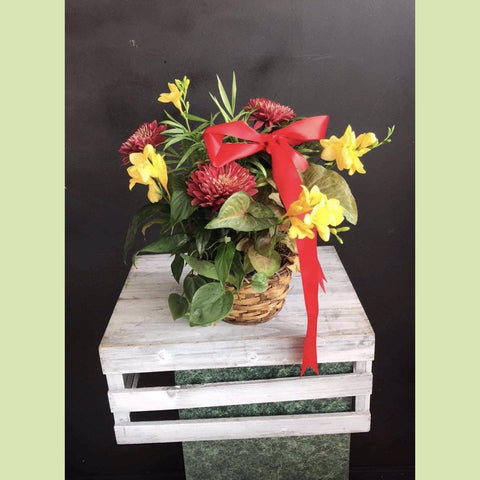 Basket with plants and flowers-NE Flower Boutique