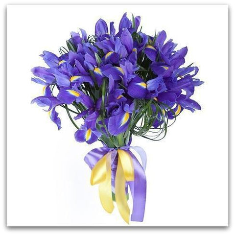 Iris Love-NE Flower Boutique