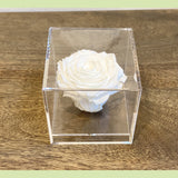 Preserved Rose in acrylic box-NE Flower Boutique