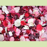 Rose Petals-NE Flower Boutique