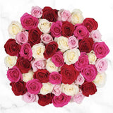 002 Multicolor Roses Special ❤️💗❤️