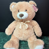 Plush Teddy Bear