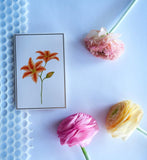 Greeting Card Handmade – Add a Personal Touch 💌