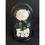 06- Beauty and the Beast Roses in Glass Dome-NE Flower Boutique