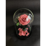 06- Beauty and the Beast Roses in Glass Dome-NE Flower Boutique