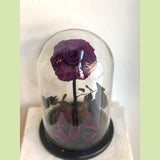 06- Beauty and the Beast Roses in Glass Dome-NE Flower Boutique