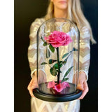 06- Beauty and the Beast Roses in Glass Dome-NE Flower Boutique