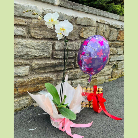 shop mother's day flowers and plants indoor Mother's Day Set #4 – NE Flower Boutique