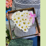Daisies Love-NE Flower Boutique