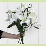 Lily Lover-NE Flower Boutique