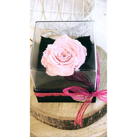 Pink Love Forever Rose-NE Flower Boutique