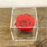 Preserved Rose in acrylic box-NE Flower Boutique