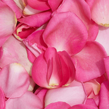 Rose Petals-NE Flower Boutique