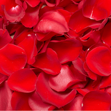 Rose Petals-NE Flower Boutique