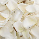 Rose Petals-NE Flower Boutique