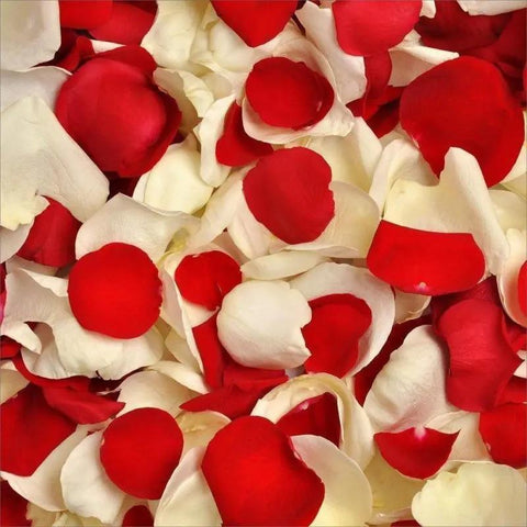 Rose Petals-NE Flower Boutique