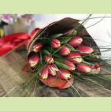 Tulip Love-NE Flower Boutique